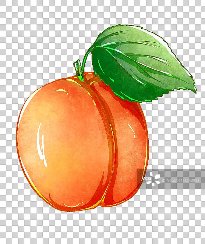 杏和叶子图片素材