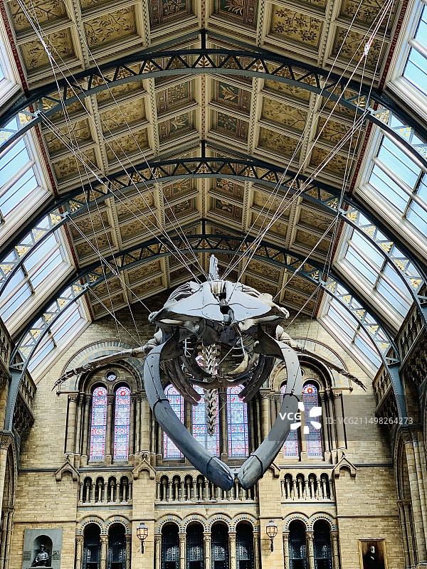 英国自然历史博物馆图片素材
