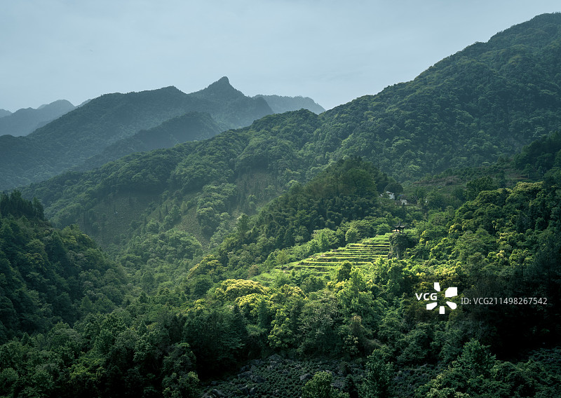 安徽石台牯牛降风景区图片素材