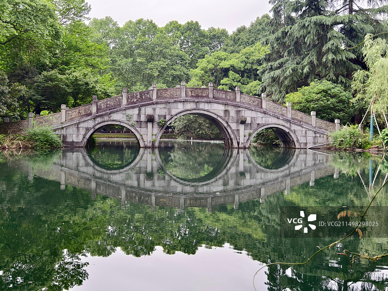 初夏西湖花港观鱼图片素材