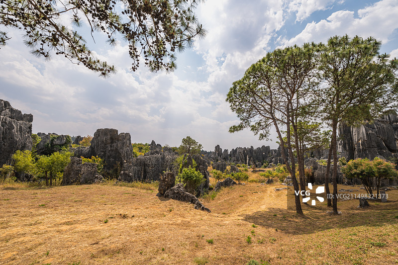 昆明石林风景区图片素材