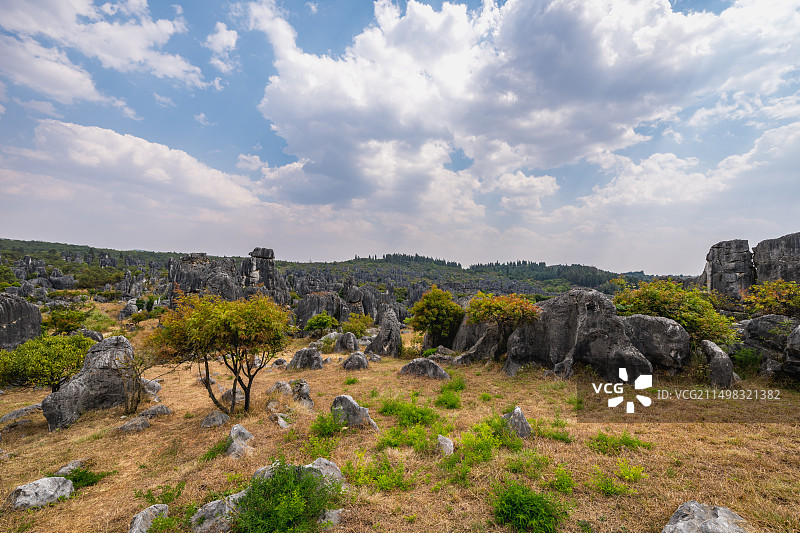 昆明石林风景区图片素材