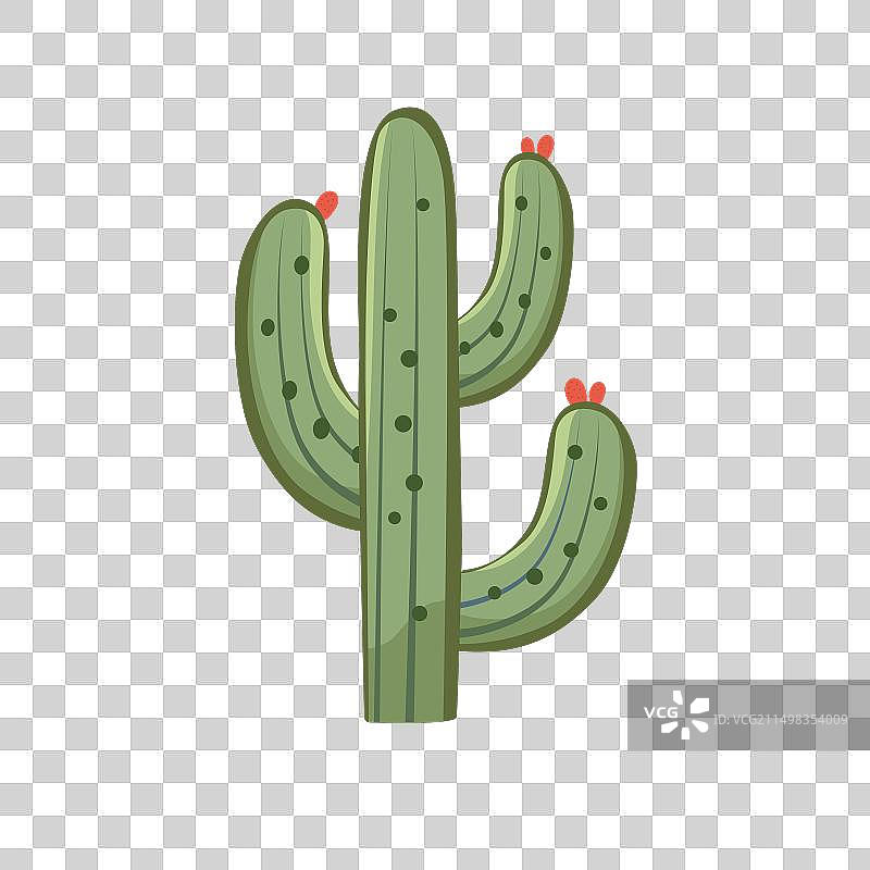 卡通仙人掌树植物图片素材