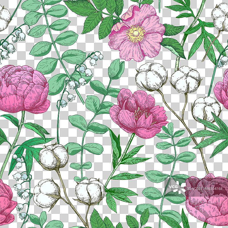 彩色牡丹花无缝图案图片素材