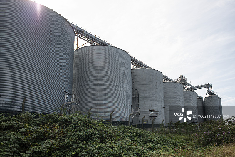 稻米加工厂图片素材