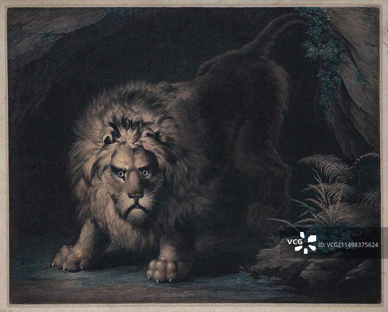 狮子插画图片素材