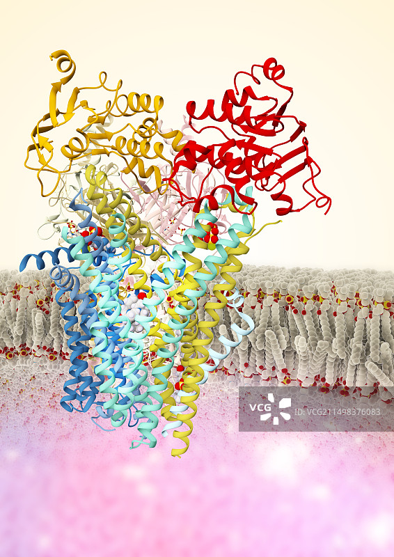 瑞格列奈抗糖尿病药物作用原理图图片素材