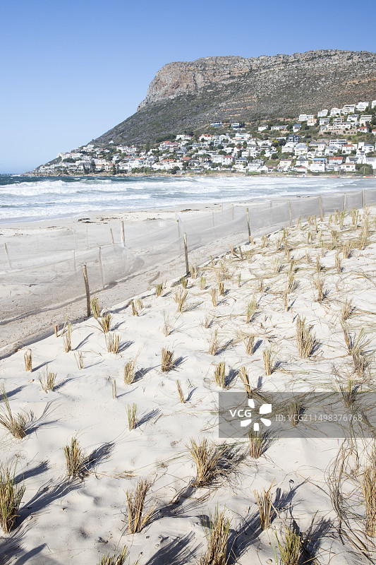 为了防止洪水而被改造的海沙丘图片素材