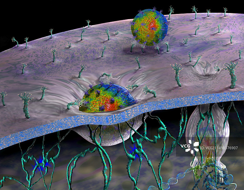CAR-T细胞免疫疗法，图示图片素材