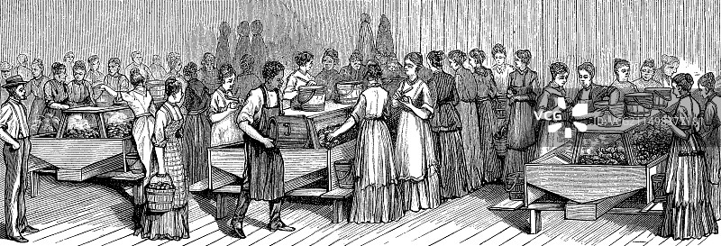 19世纪罐头厂插图图片素材