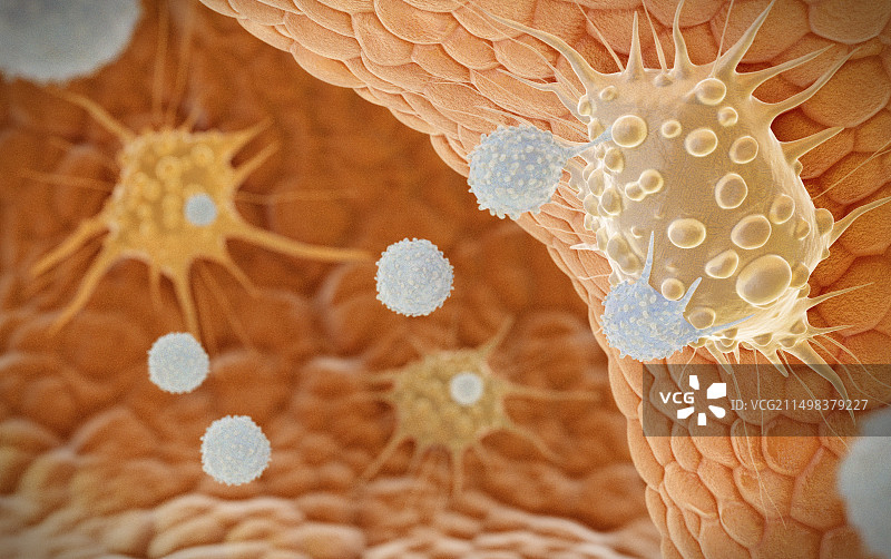 自然杀伤T细胞攻击癌细胞，图示图片素材