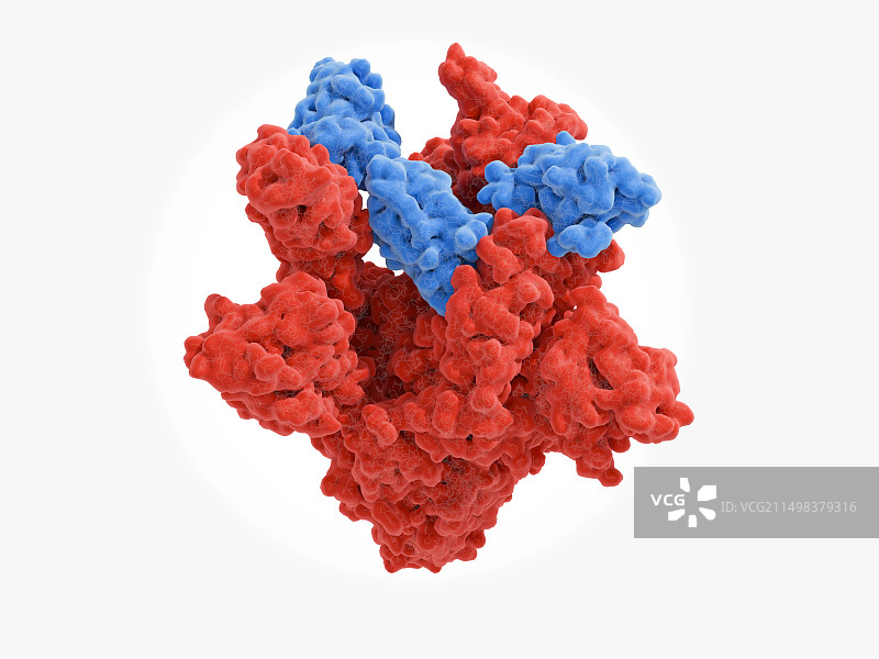 纳米抗体和新冠病毒刺突蛋白，图示图片素材