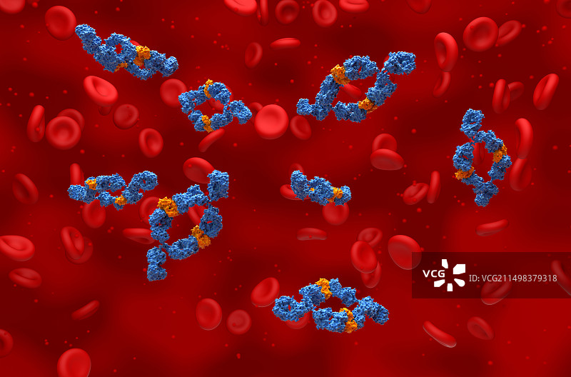 阿达木单抗结合肿瘤坏死因子-α，图示图片素材