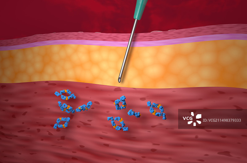 阿达木单抗结合肿瘤坏死因子-α，图示图片素材