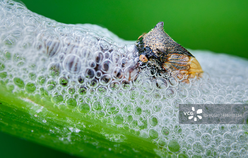 不好意思，走错地方了图片素材