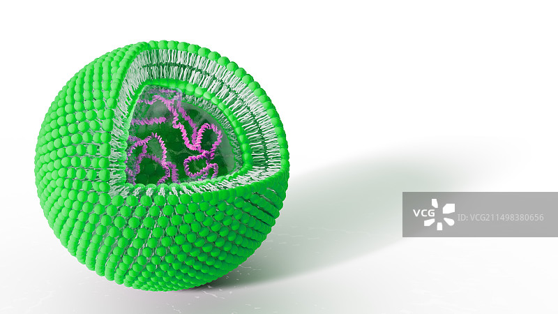 含有DNA的脂质体，图示图片素材