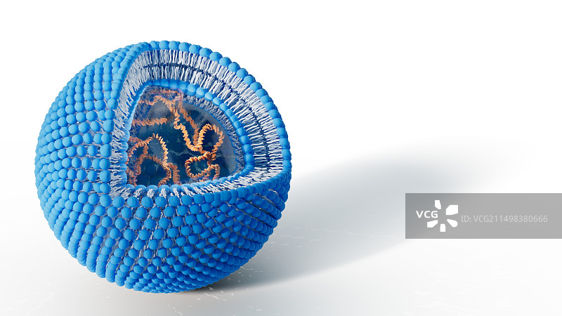 含有DNA的脂质体，图示图片素材