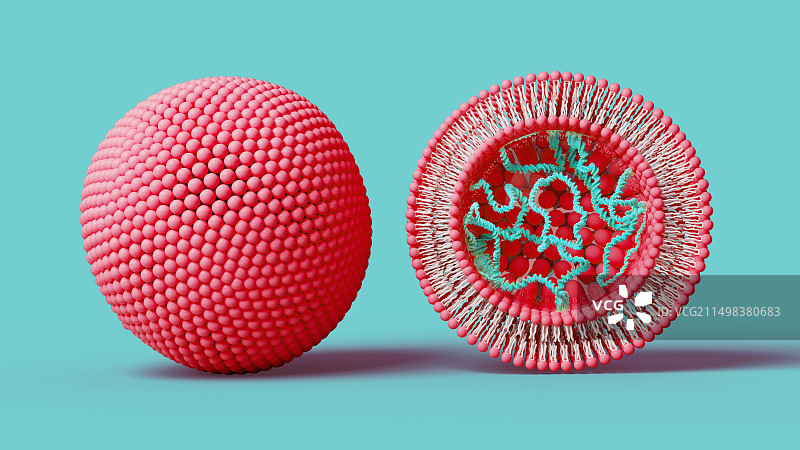 含有DNA的脂质体，图示图片素材