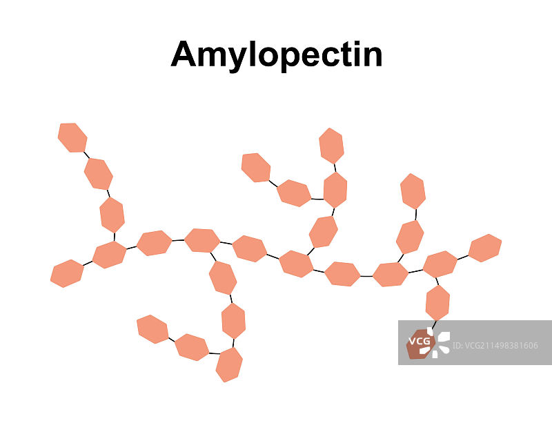 支链淀粉糖分子图示图片素材