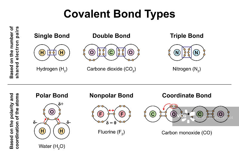 共价键类型图示图片素材
