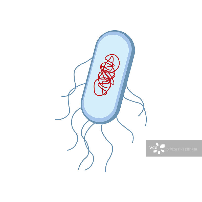 大肠杆菌图图片素材