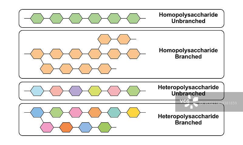 多糖类型图解图片素材