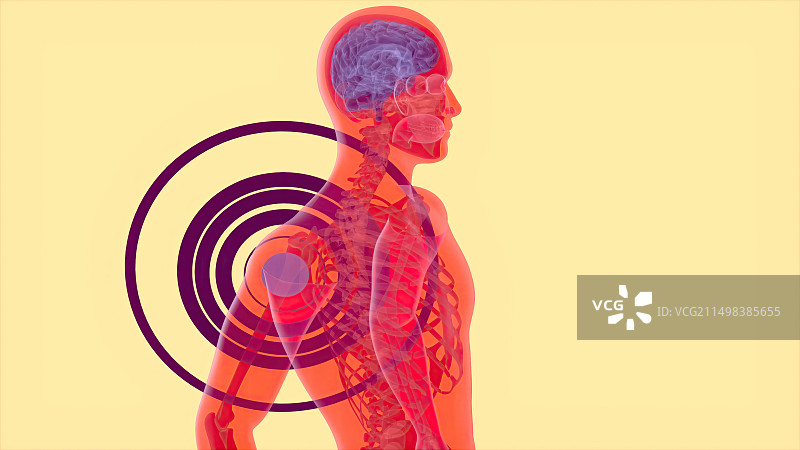 肩痛概念插图图片素材