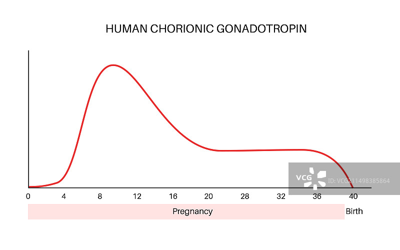 妊娠期间人绒毛膜促性腺激素水平插图图片素材