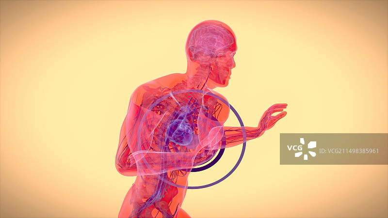 心脏病发作概念插图图片素材