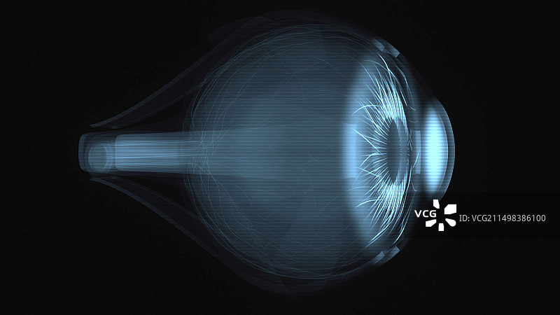 眼睛扫描概念插图图片素材