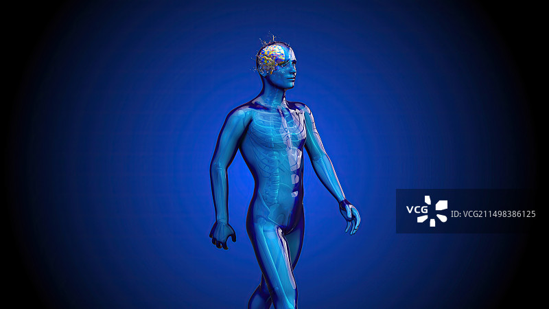 赛博格，概念插图图片素材