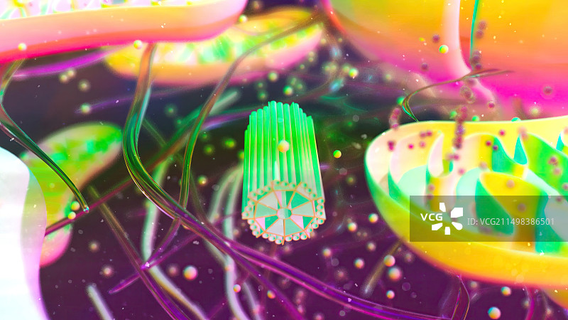 中心粒插图图片素材