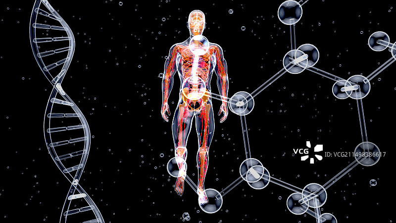 个性化医疗概念插画图片素材