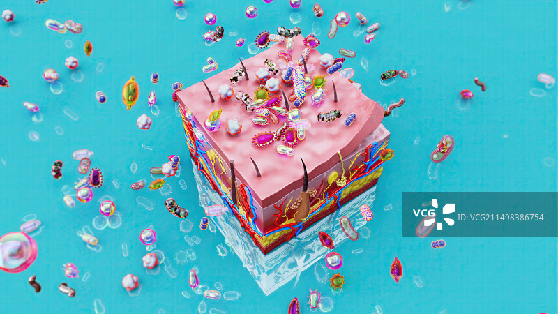 皮肤屏障概念图图片素材