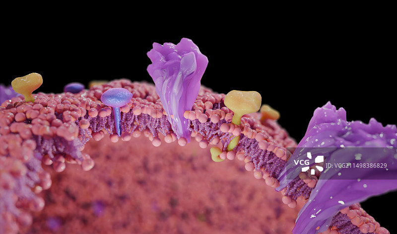 新冠病毒膜蛋白结构图图片素材