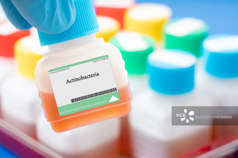 放线菌图片素材