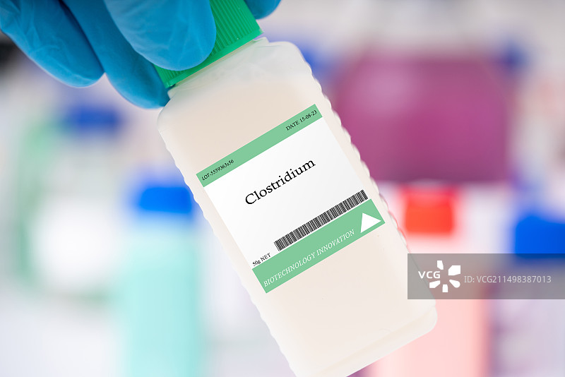 梭状芽孢杆菌图片素材