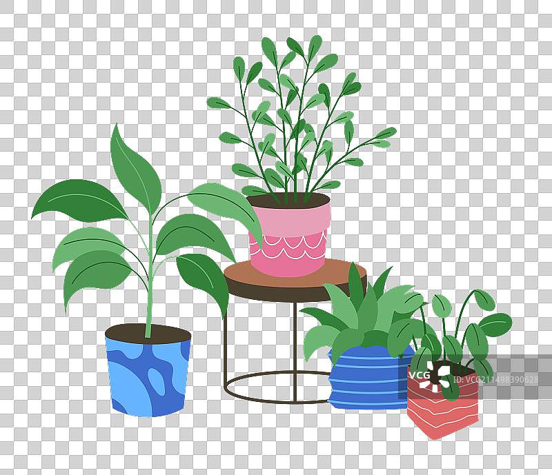 不同绿色奇异盆栽组合图片素材