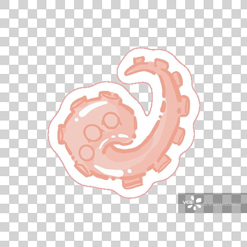 可爱寿司兔子 食材 萌宠图片素材