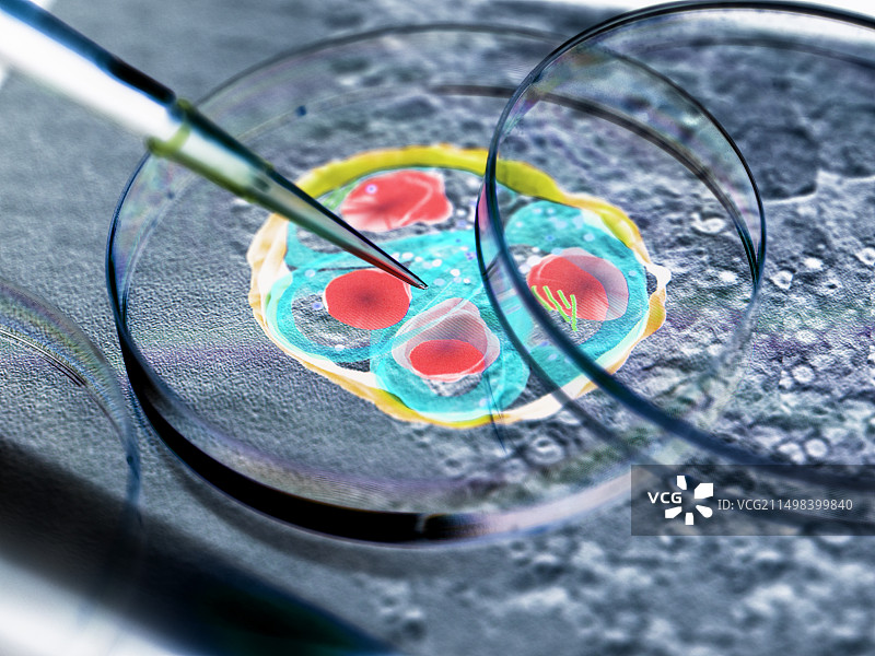 疟疾研究概念图图片素材