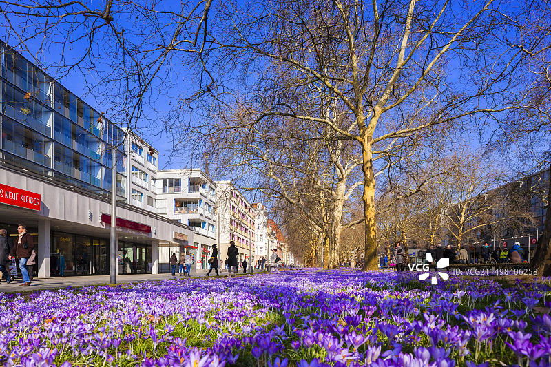德累斯顿主街的春天景色图片素材