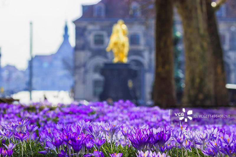 德累斯顿主街的春天景色图片素材