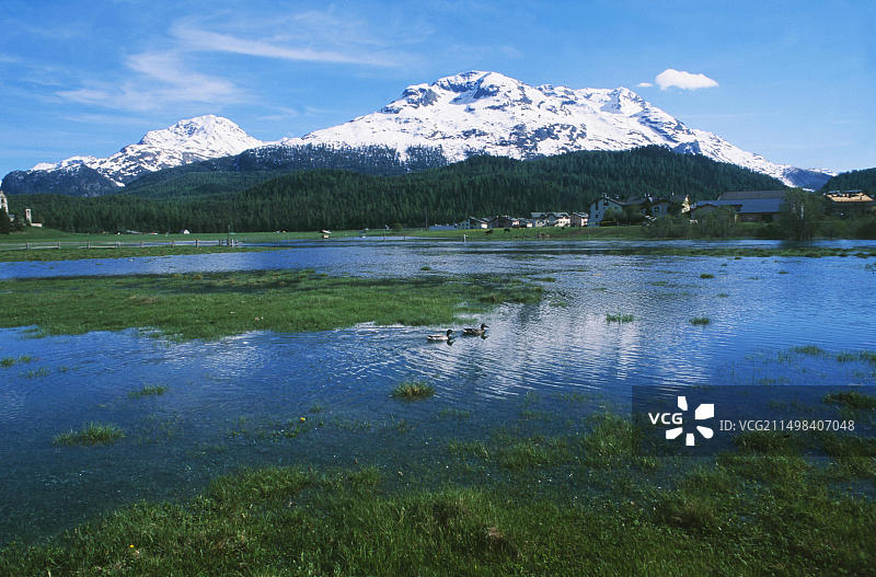 萨梅丹高尔夫球场上恩加丁自然保护区图片素材
