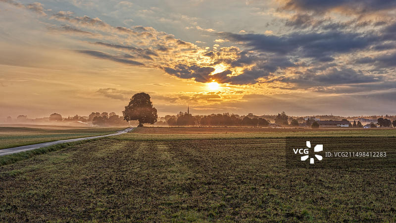 雾气蒙蒙的早晨，德国巴伐利亚州霍尔茨基兴图片素材