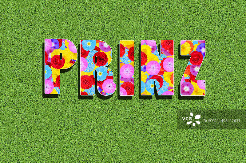 绿色背景上鲜花组成的Prince字样图片素材