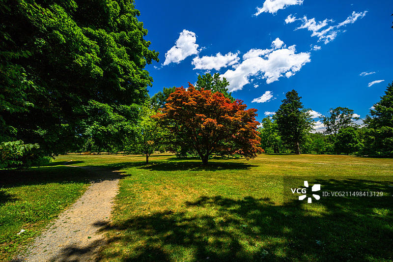 范德比尔特大厦国家历史遗址，纽约海德公园，美国，北美图片素材