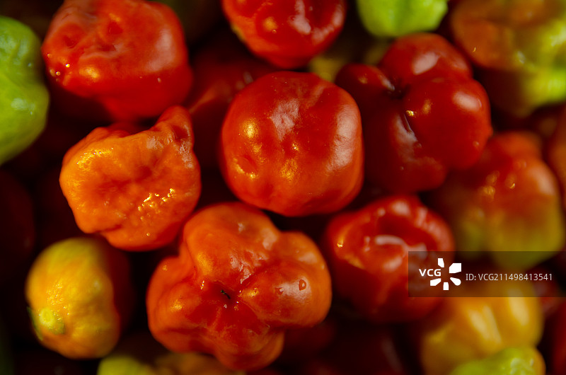 魔鬼辣椒图片素材