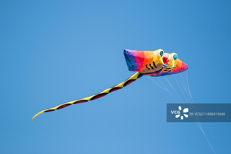 蓝色背景上的巨型彩虹鳐鱼风筝图片素材