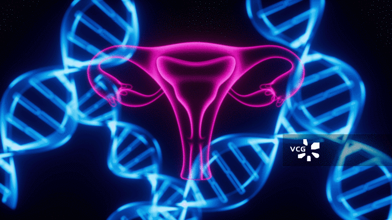 子宫与DNA 生物概念动画图片素材