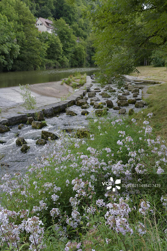 德国巴登-符腾堡州科赫河上的鱼道图片素材